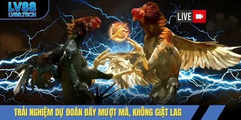 Trải nghiệm dự đoán đầy mượt mà, không giật lag